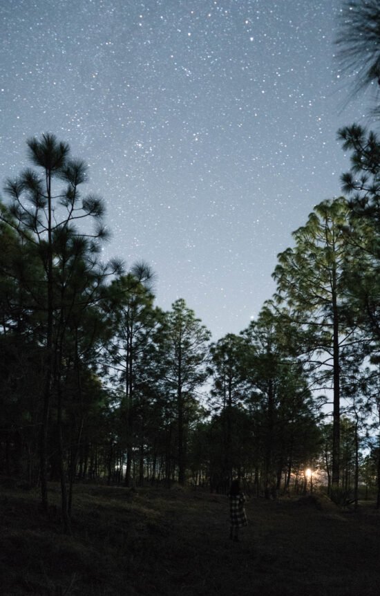 noche de estrellas hotel en tapalpa